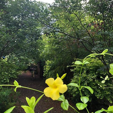 Forest Villa Nature Resort Анурадхапура Екстериор снимка