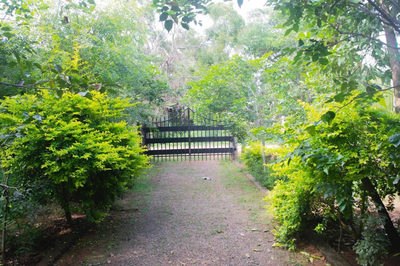 Forest Villa Nature Resort Анурадхапура Екстериор снимка