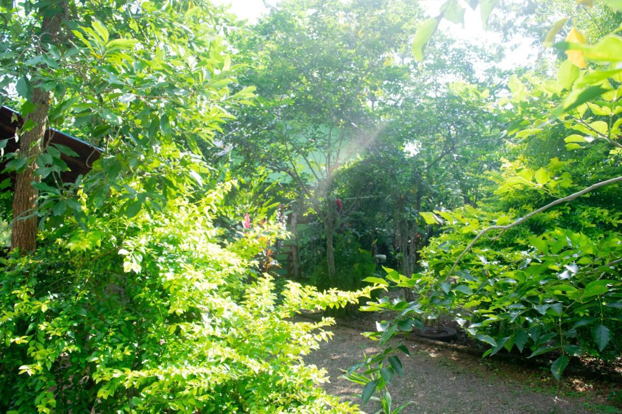 Forest Villa Nature Resort Анурадхапура Екстериор снимка