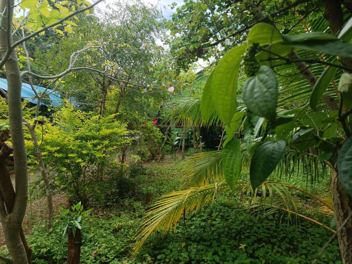 Forest Villa Nature Resort Анурадхапура Екстериор снимка