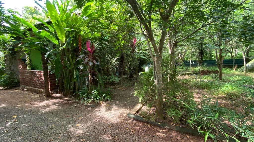 Forest Villa Nature Resort Анурадхапура Екстериор снимка