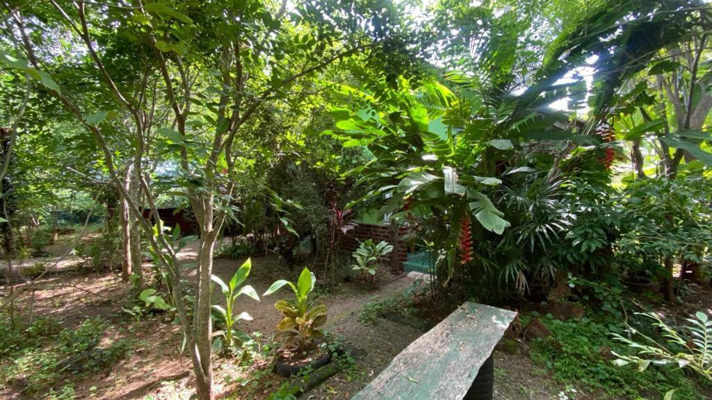 Forest Villa Nature Resort Анурадхапура Екстериор снимка