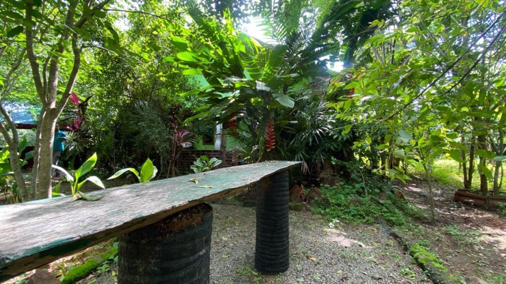 Forest Villa Nature Resort Анурадхапура Екстериор снимка