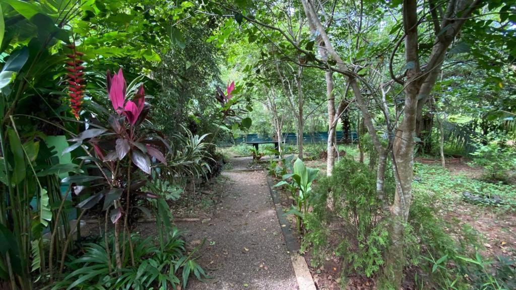 Forest Villa Nature Resort Анурадхапура Екстериор снимка