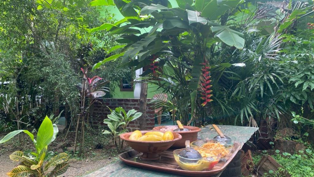 Forest Villa Nature Resort Анурадхапура Екстериор снимка
