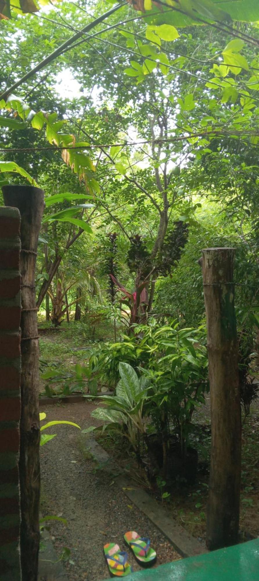 Forest Villa Nature Resort Анурадхапура Екстериор снимка