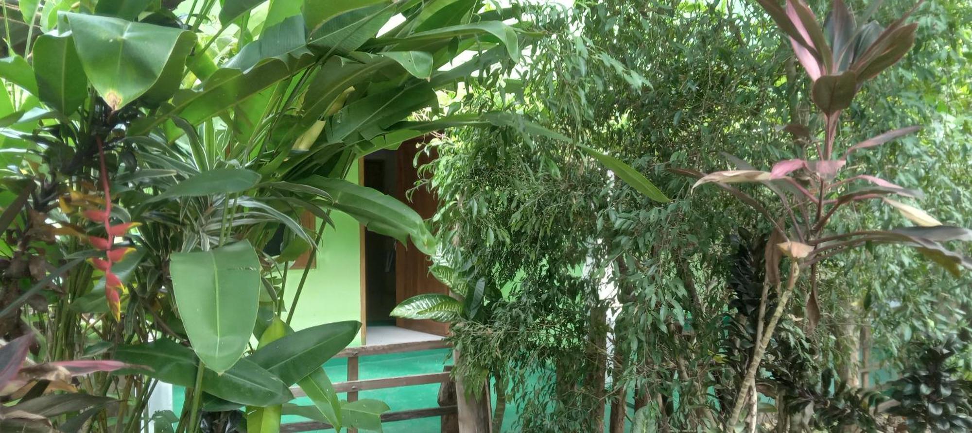 Forest Villa Nature Resort Анурадхапура Екстериор снимка