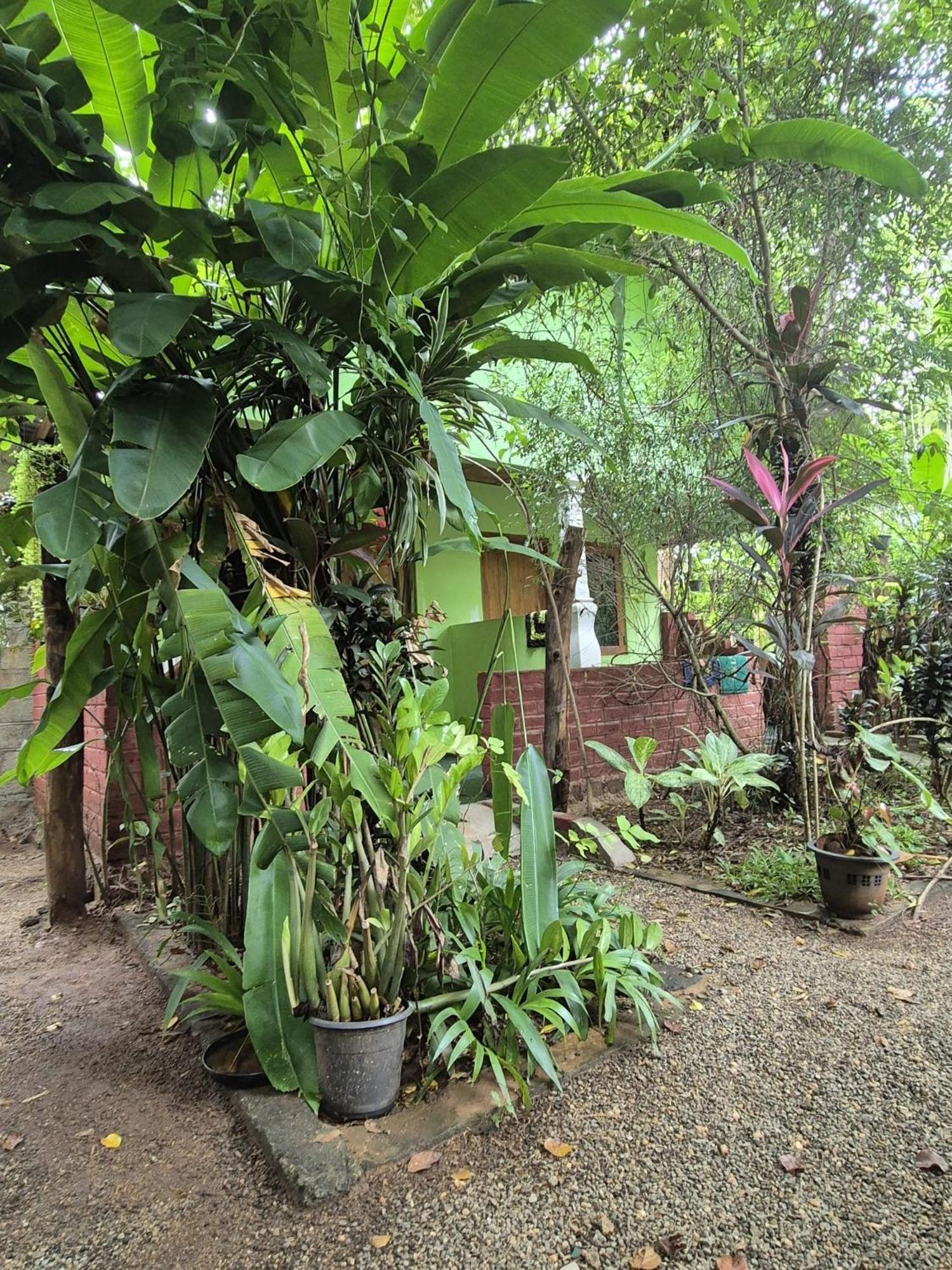 Forest Villa Nature Resort Анурадхапура Екстериор снимка