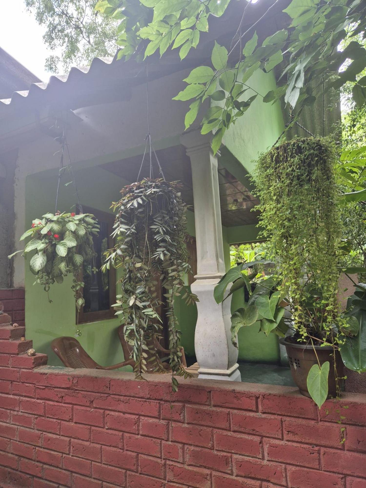 Forest Villa Nature Resort Анурадхапура Екстериор снимка