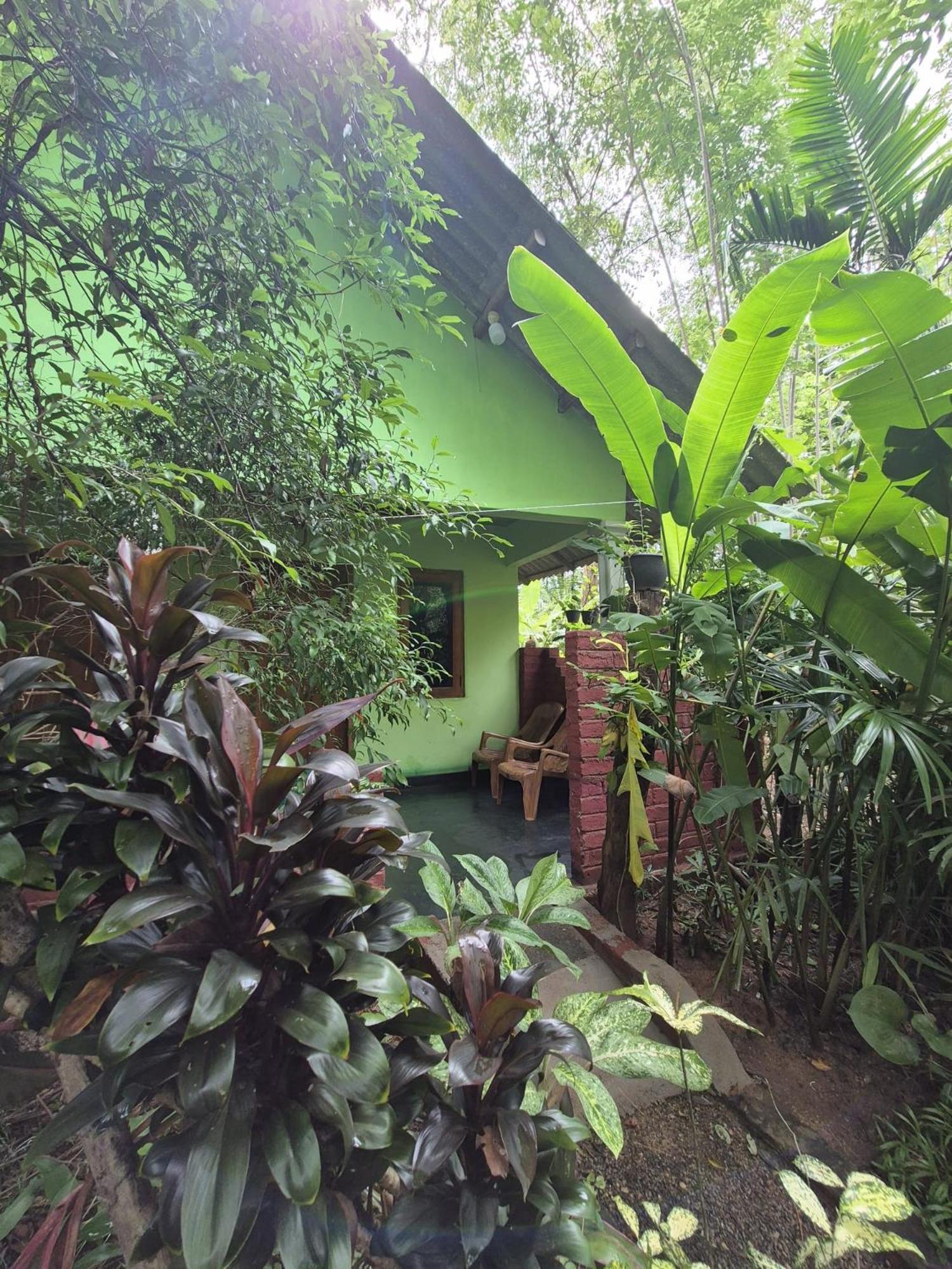 Forest Villa Nature Resort Анурадхапура Екстериор снимка